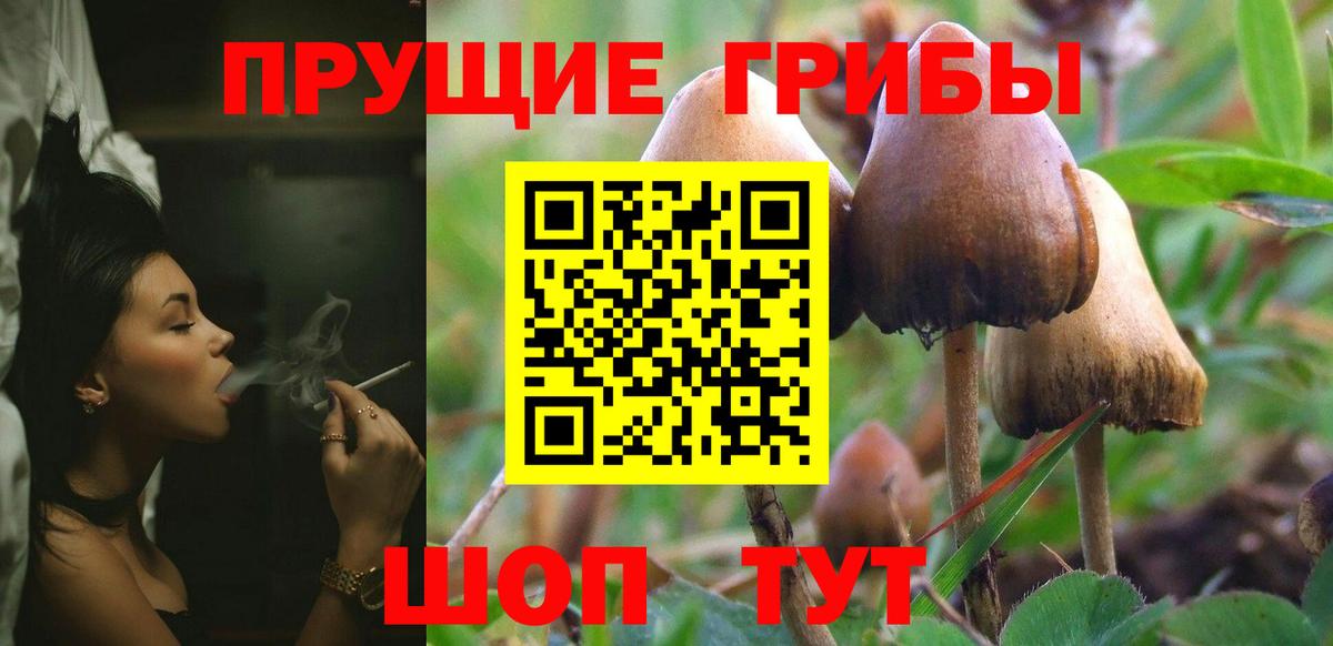 Псилоцибиновые грибы Magic Shrooms Новочеркасск