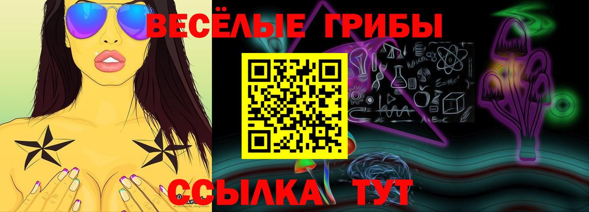 Галлюциногенные грибы GOLDEN TEACHER  Вход с VPN  Псилоцибиновые грибы прущие грибы  Новочеркасск 